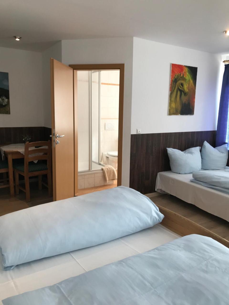 Hotel Guntia Boardinghouse Günzburg Екстериор снимка